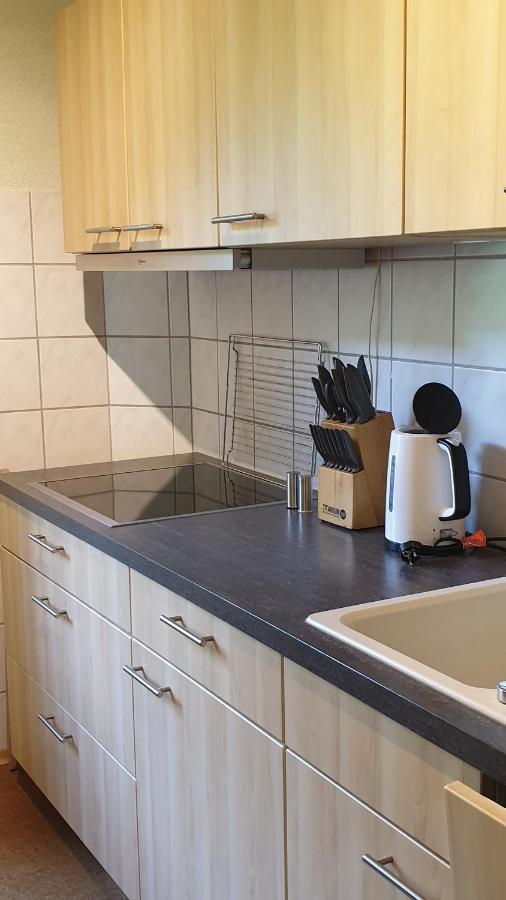 Ferienwohnung An Der Begerburg Дрезден Екстериор снимка